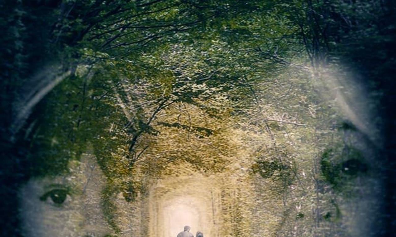 header image for Grandmother Told Grandmother