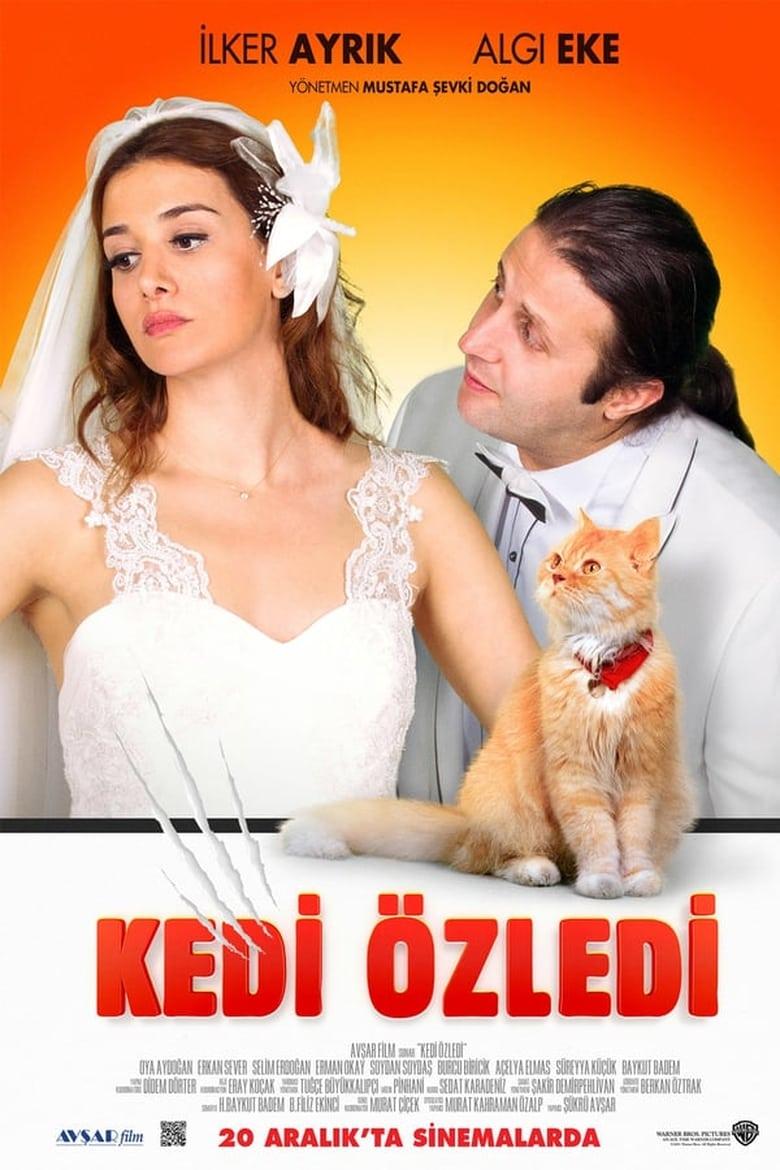 Kedi | Where to watch streaming and online in Australia | Flicks