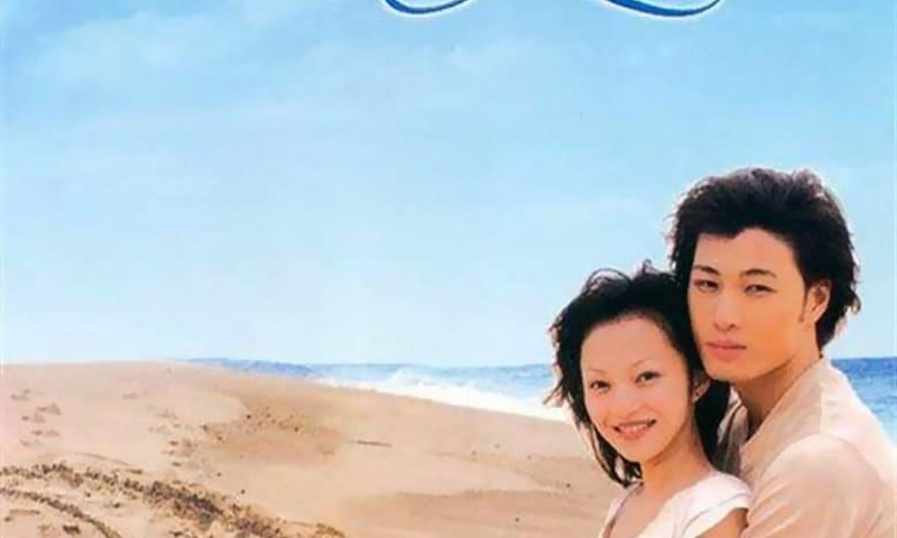 header image for At Dolphin Bay