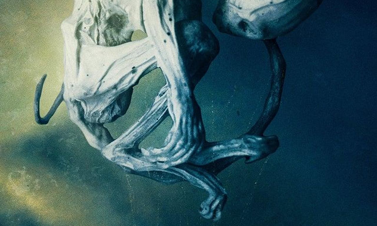 header image for Embryo