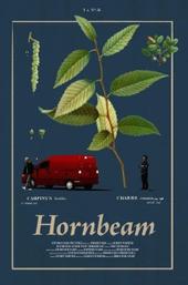 Hornbeam
