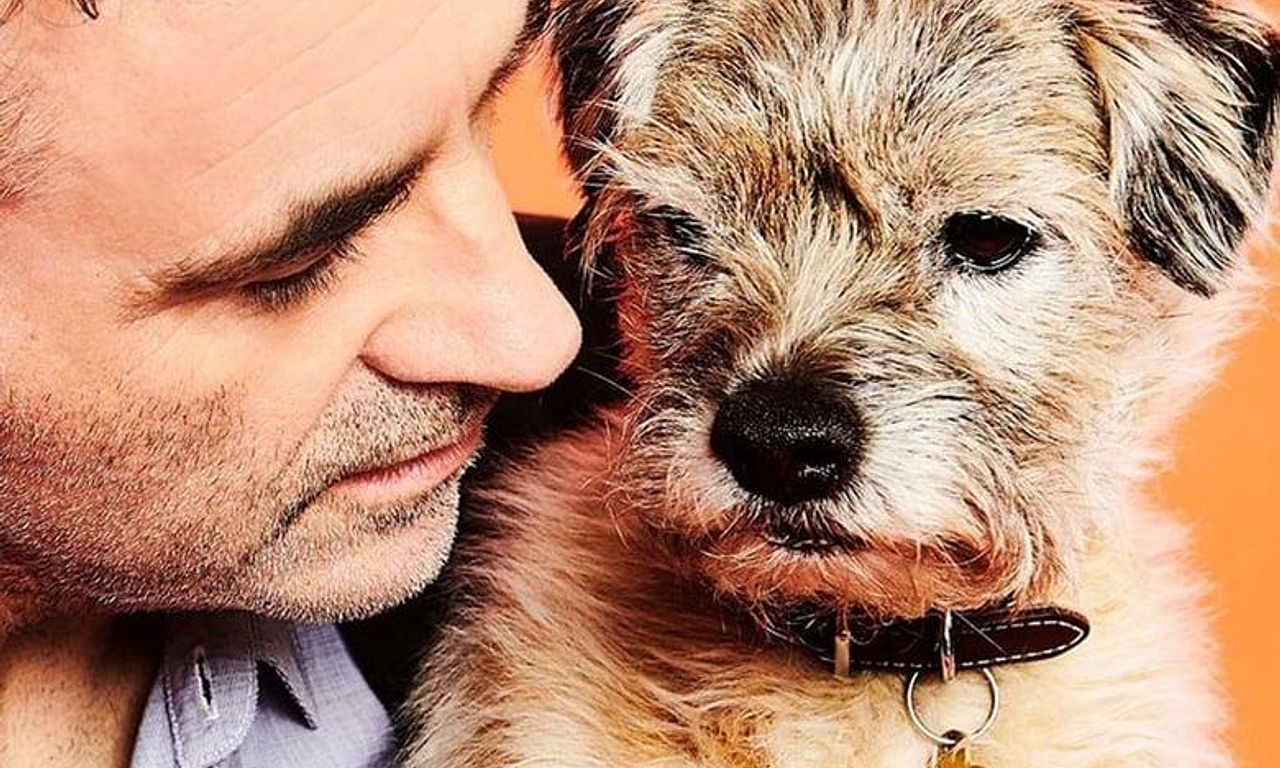 header image for The Supervet