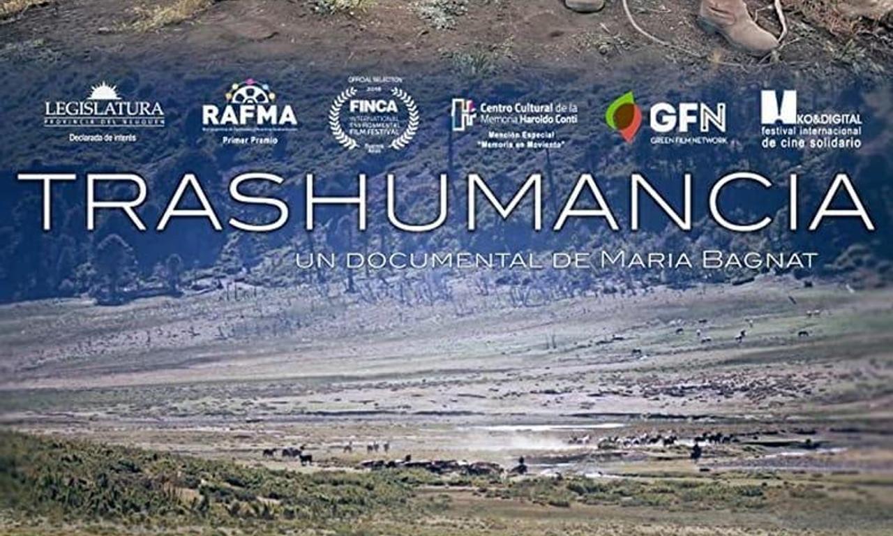 header image for Transhumance