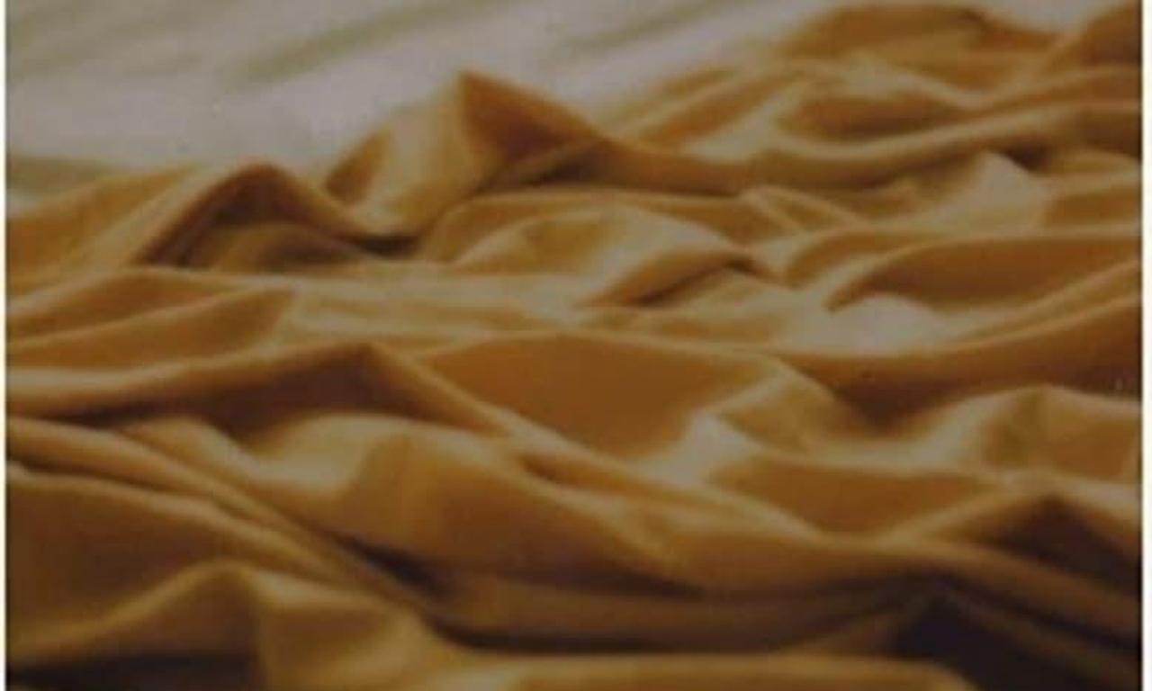 header image for Max