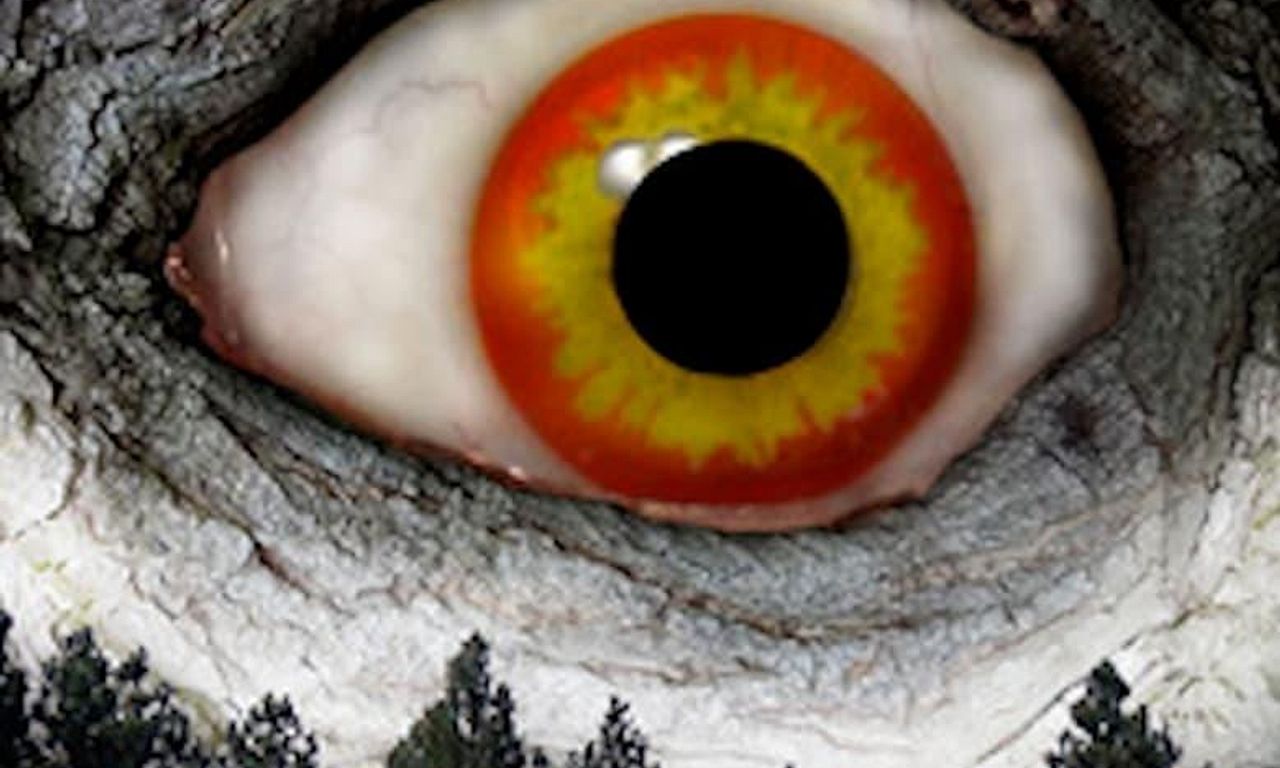 header image for Game Camera