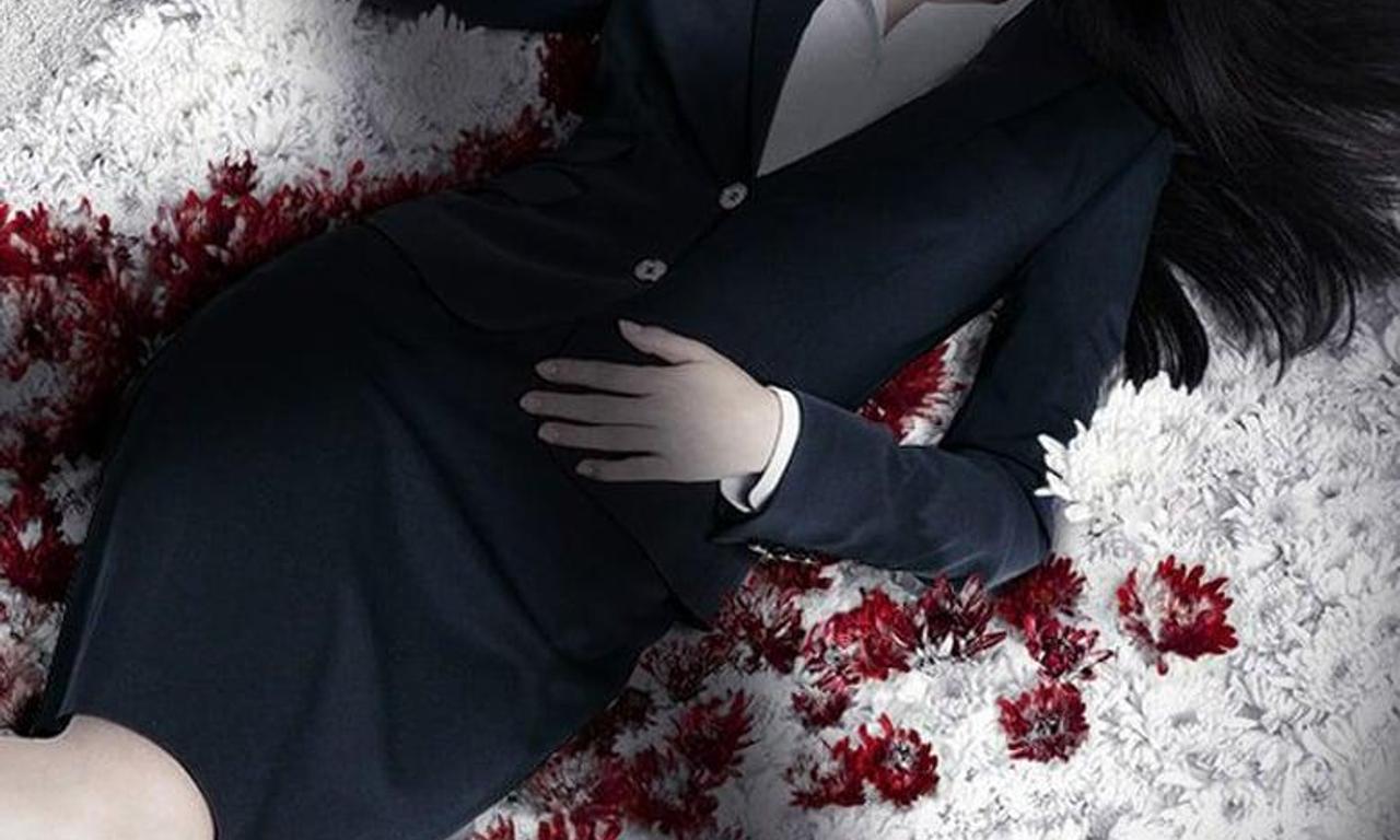 header image for Stone's Cocoon