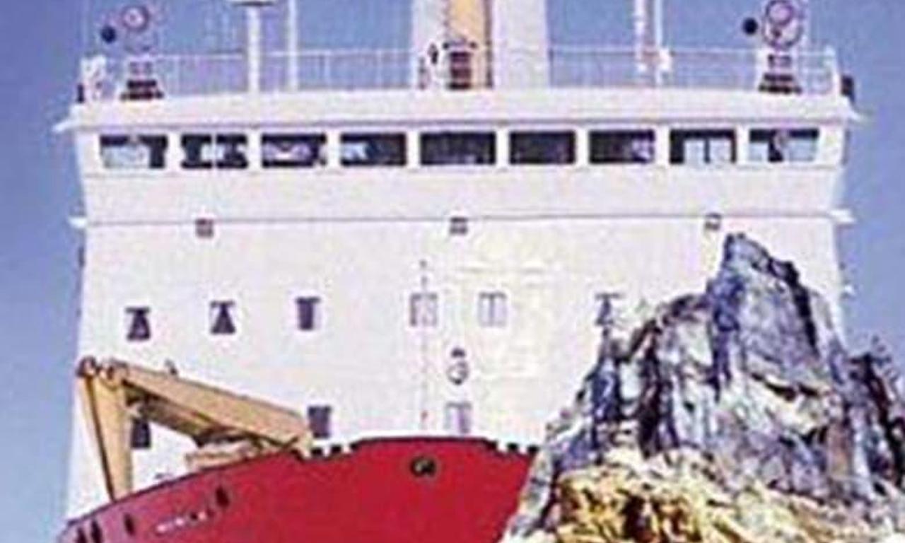 header image for Momentum