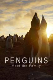 Penguins: Meet the Family