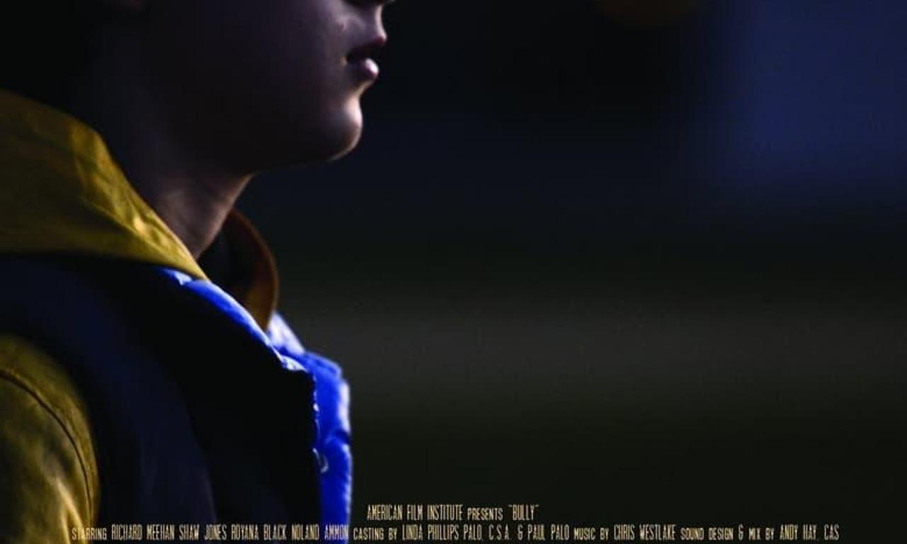 header image for Bully