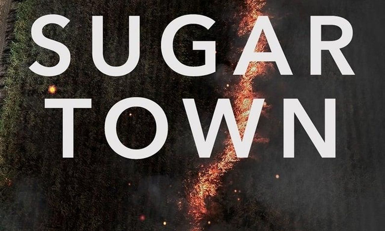 header image for Sugar Town