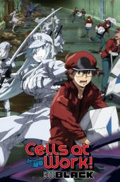 Cells at Work! CODE BLACK