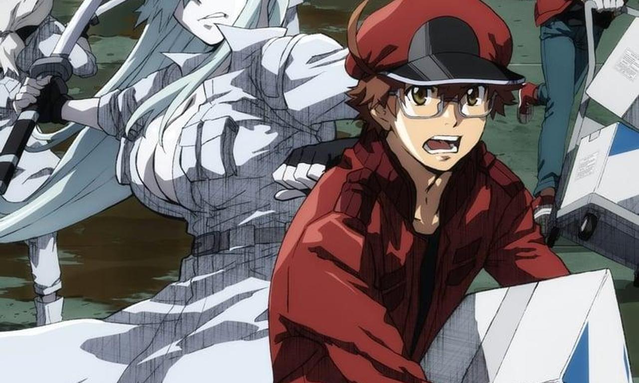 header image for Cells at Work! CODE BLACK