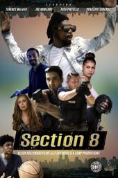 Section 8