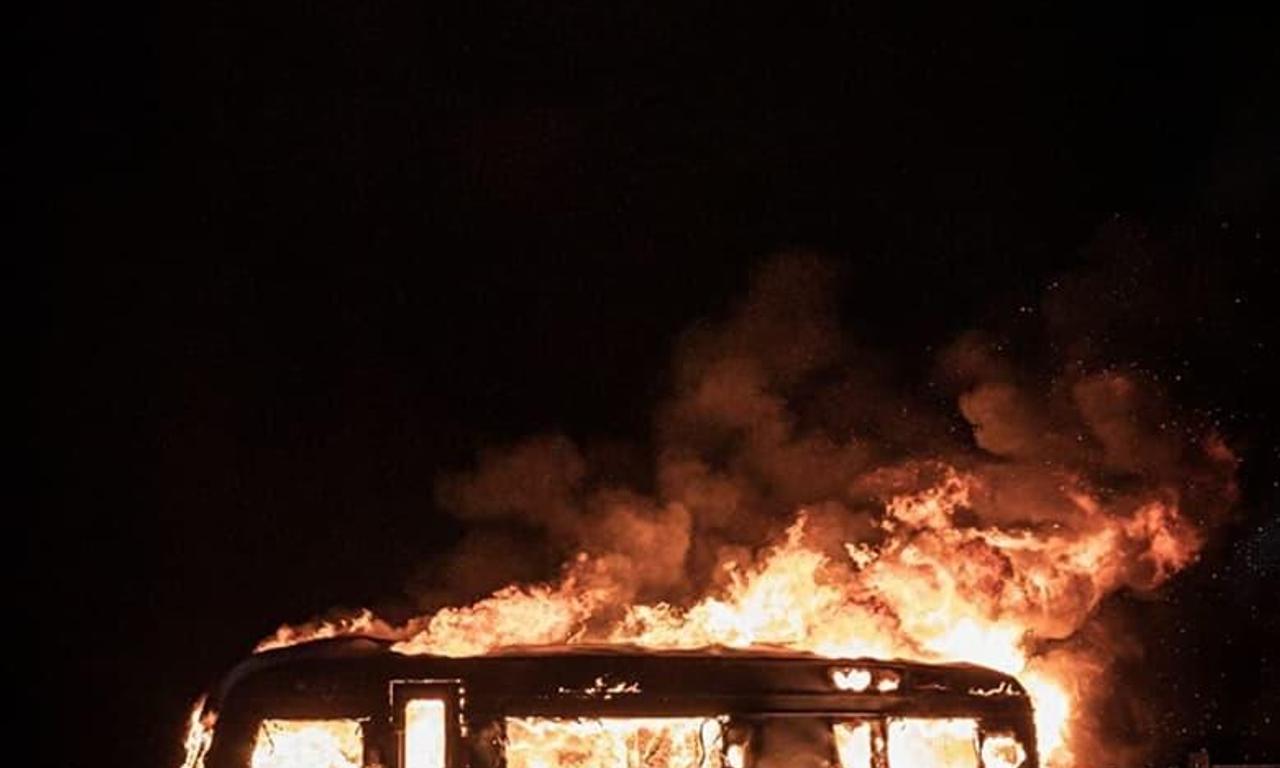 header image for Bull