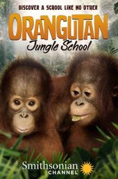 Orangutan Jungle School