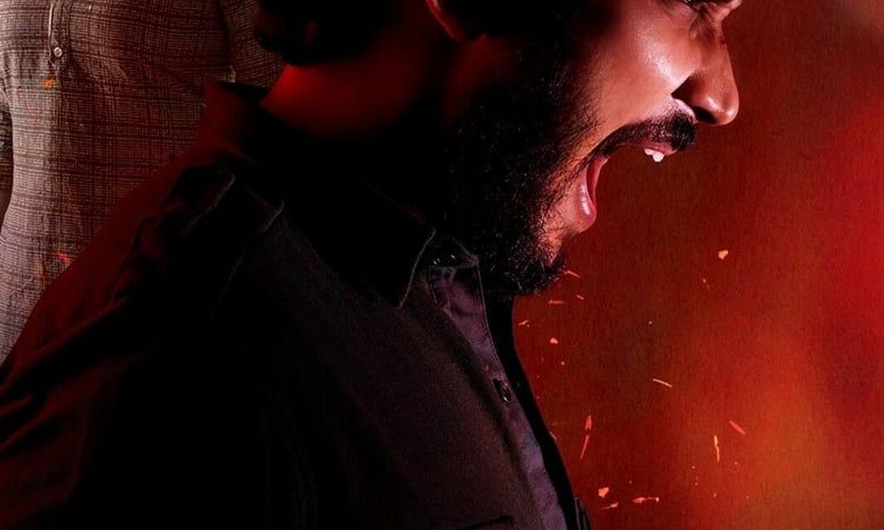 header image for Pachchis