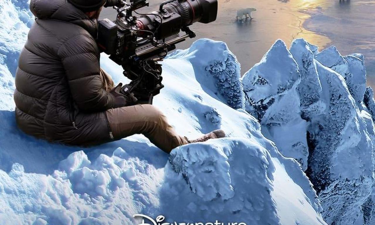 header image for Bear Witness