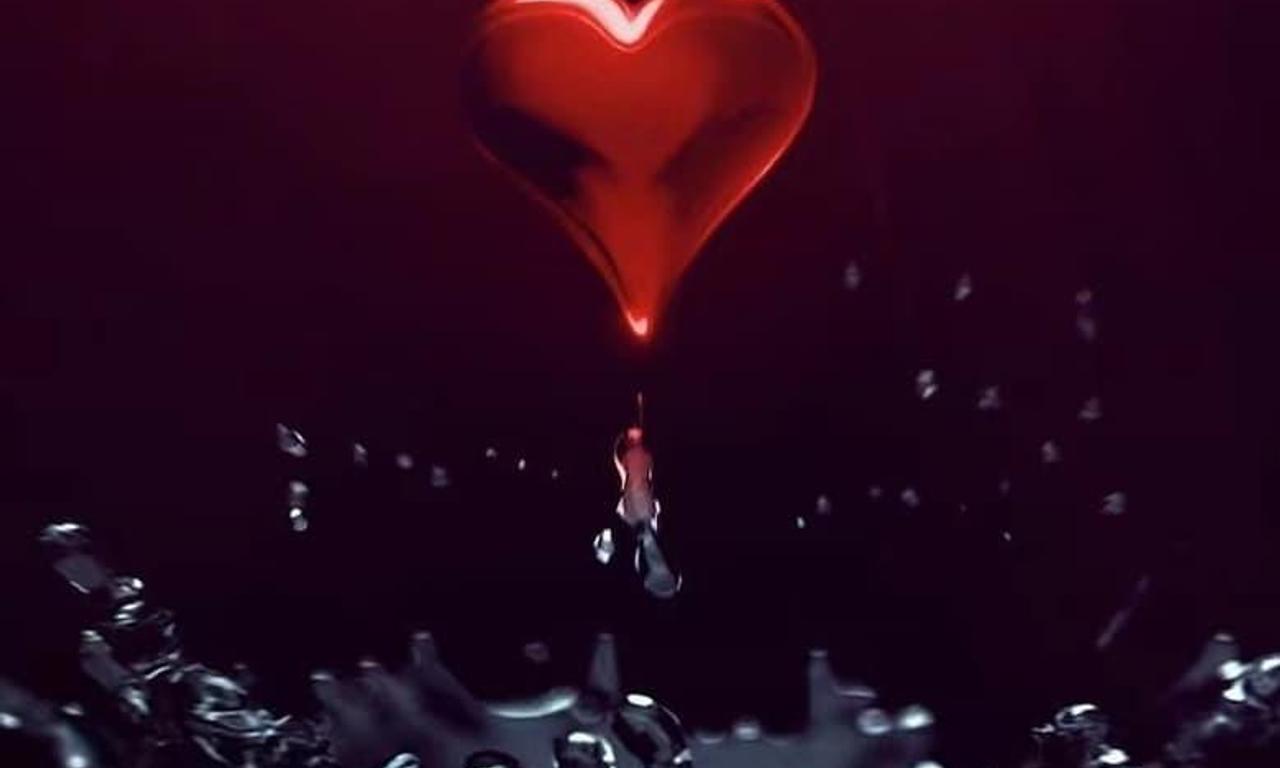 header image for Love, Life & Everything in Between