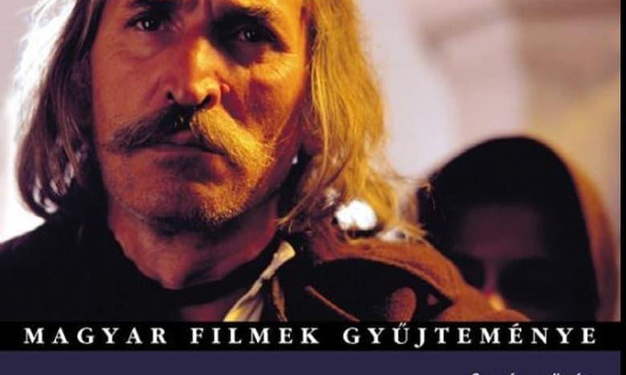 header image for Wrong-doers