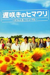 Late Blooming Sunflower My Life Renewed