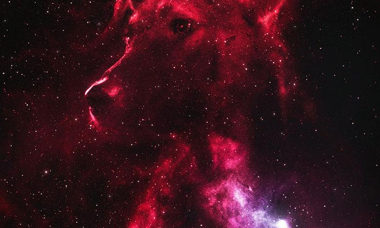 header image for Space Dogs