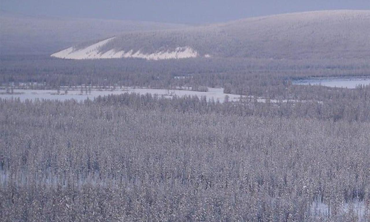 header image for Siberian Cut