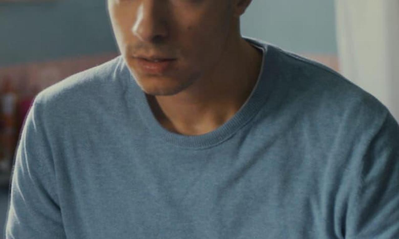 header image for Animals