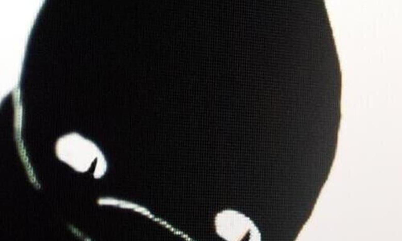 header image for A Cat Called Dom