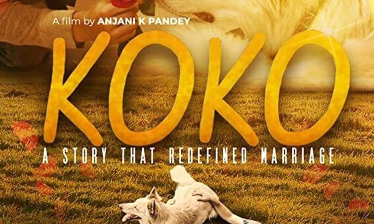 header image for Koko