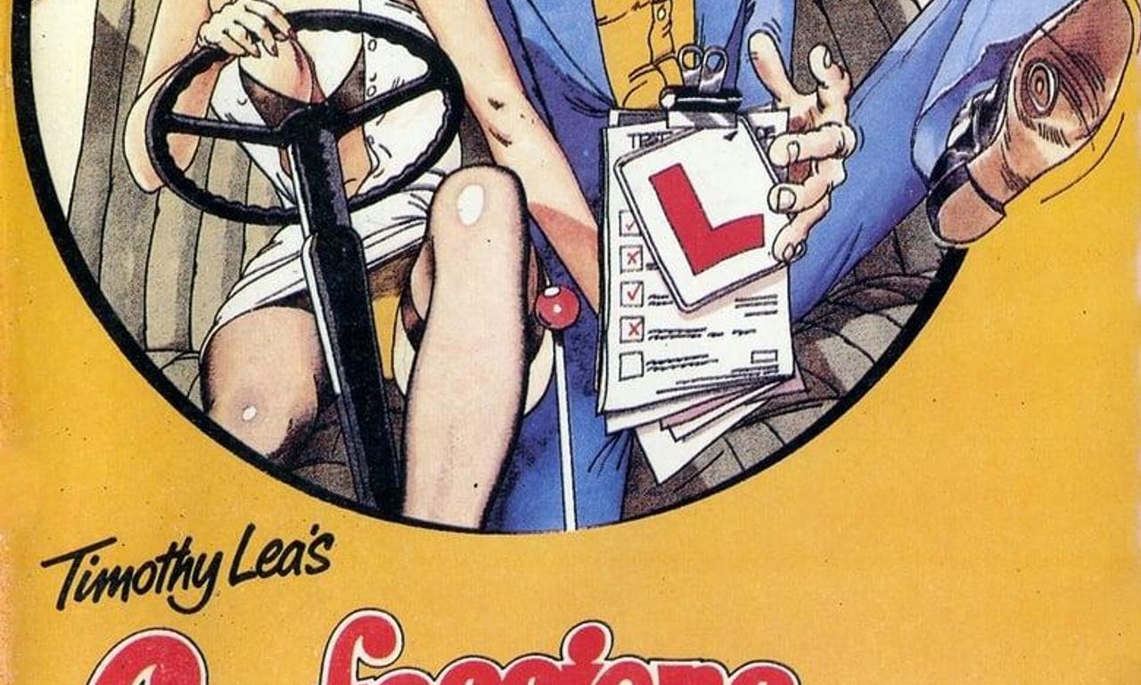 header image for Confessions of a Driving Instructor