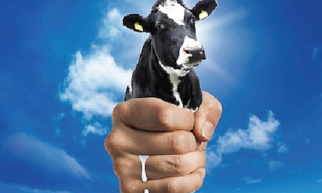 header image for The Milk System