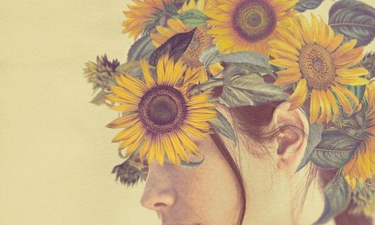 header image for Girasoles silvestres