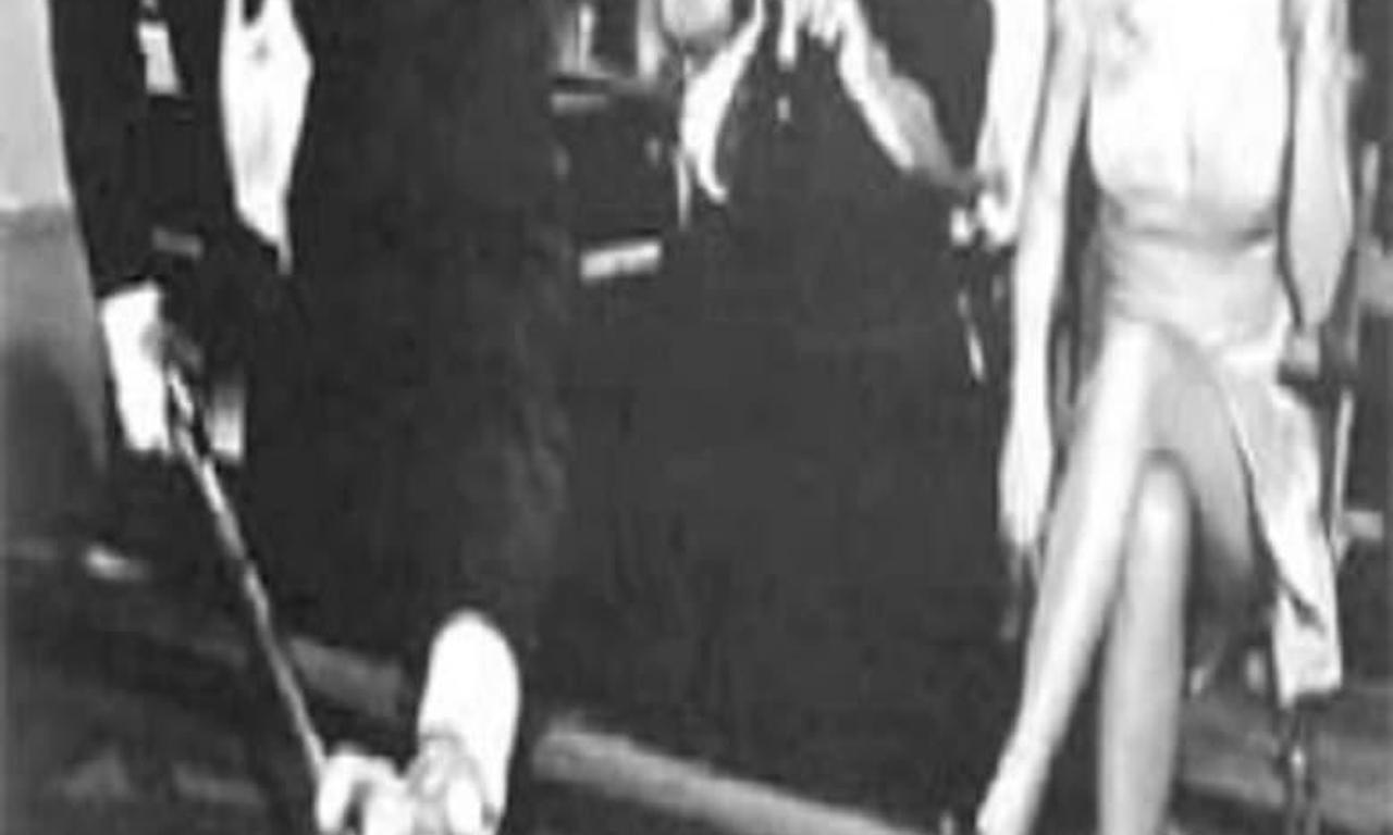 Quinto patio Where to Watch and Stream Online Entertainment.ie