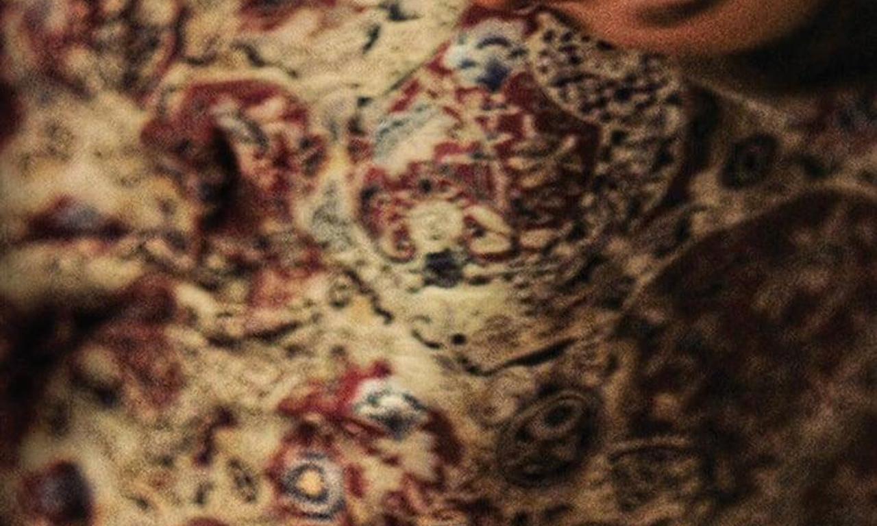 header image for Looking for Venera