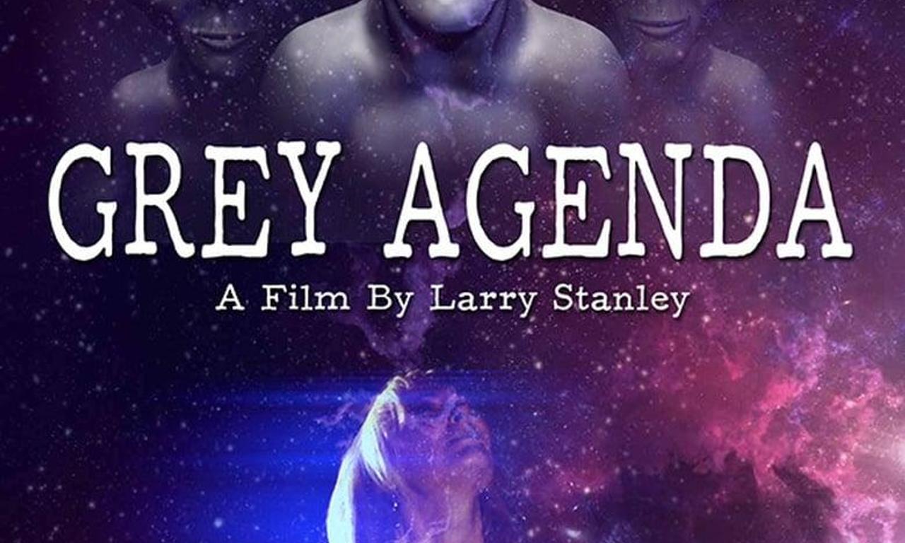 header image for Grey Agenda