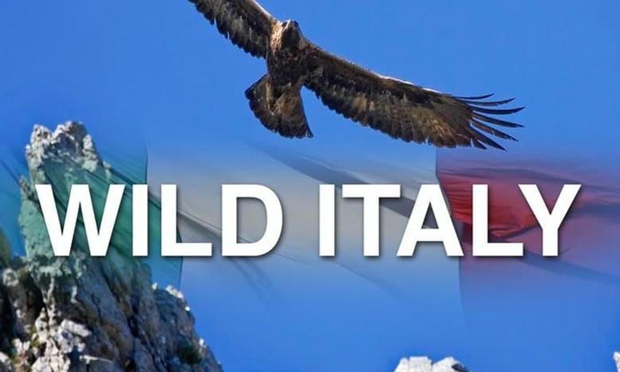 header image for Wild Italy