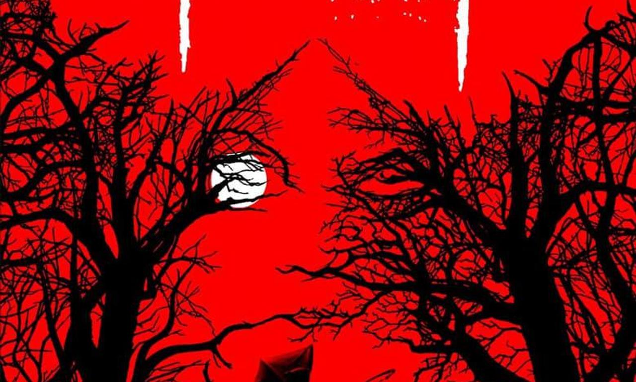 header image for The Midwife