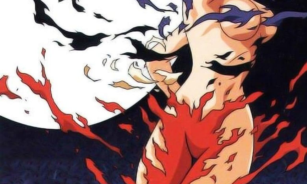 header image for New Cutey Honey