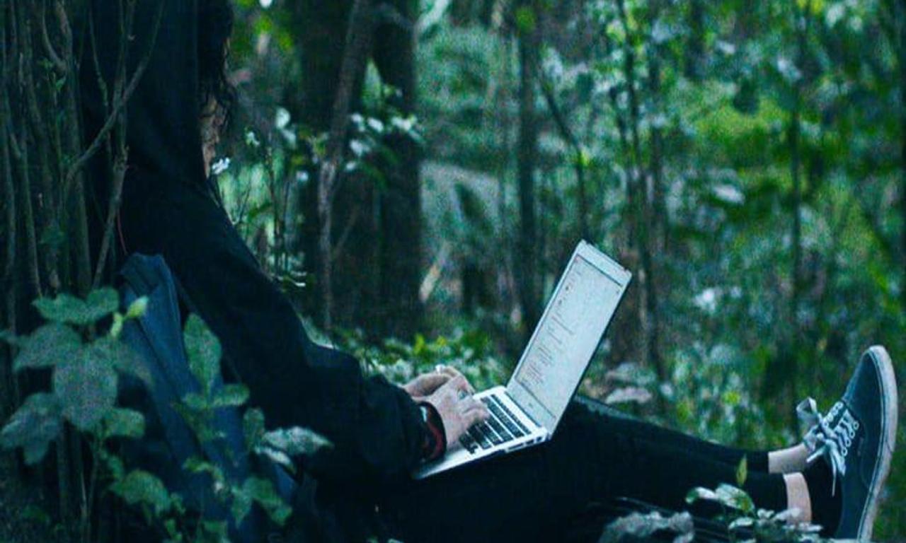 header image for Millie Lies Low