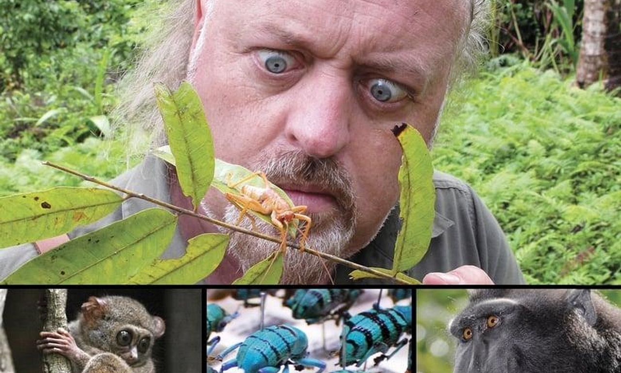 header image for Bill Bailey's Jungle Hero