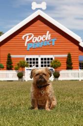 Pooch Perfect