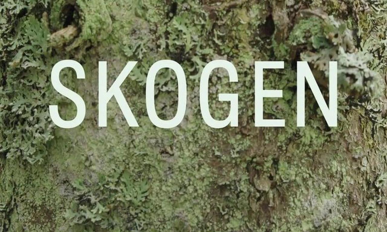 header image for Skogen