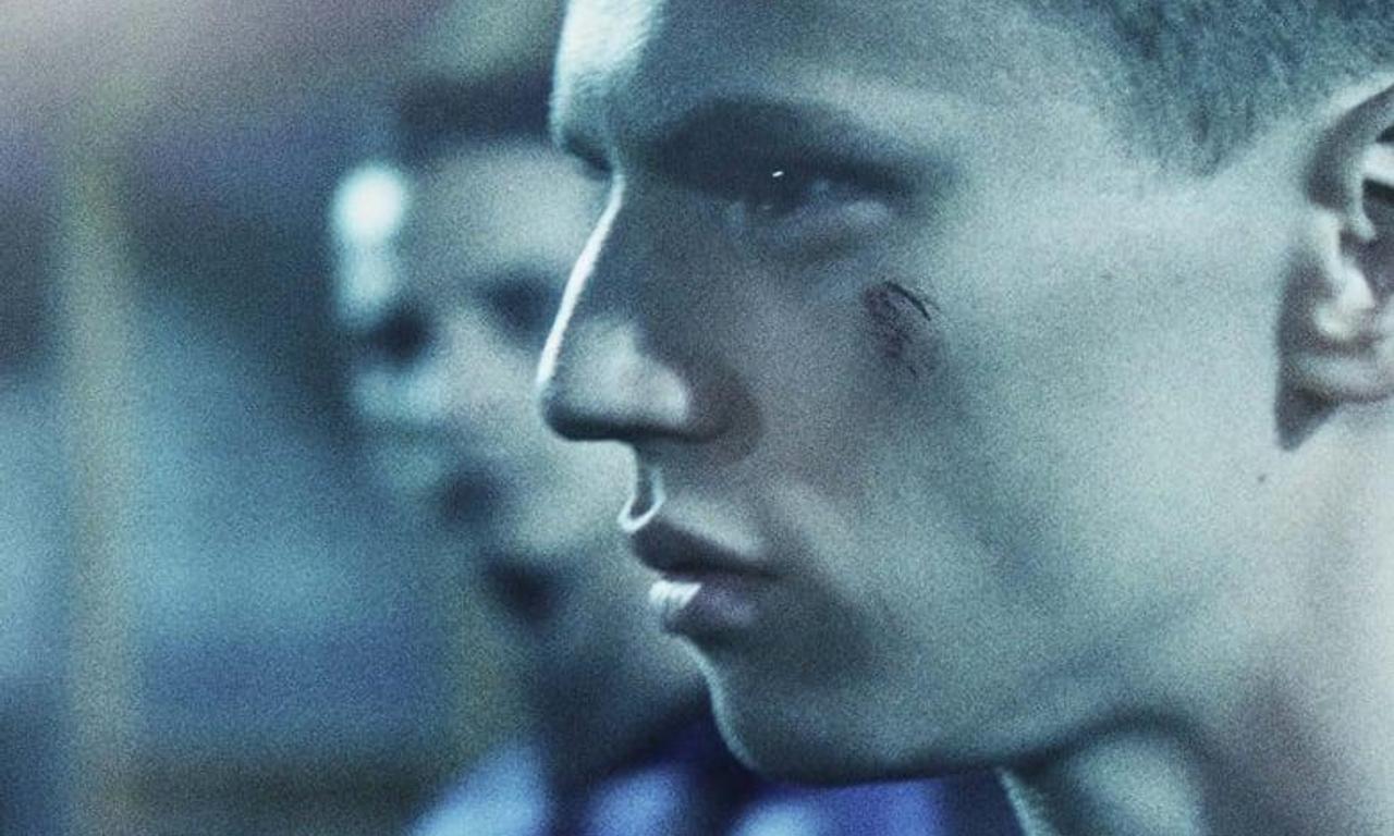 header image for Tigers