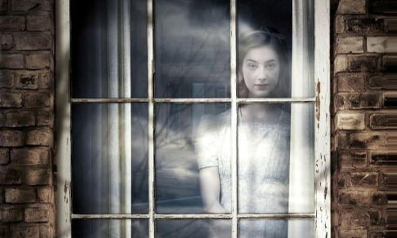 header image for Lightfields