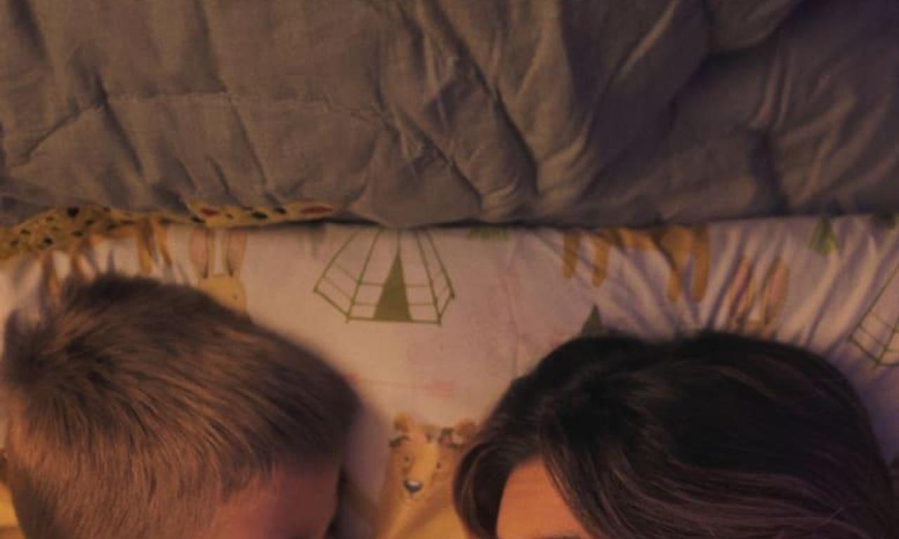 header image for Let's Be Tigers