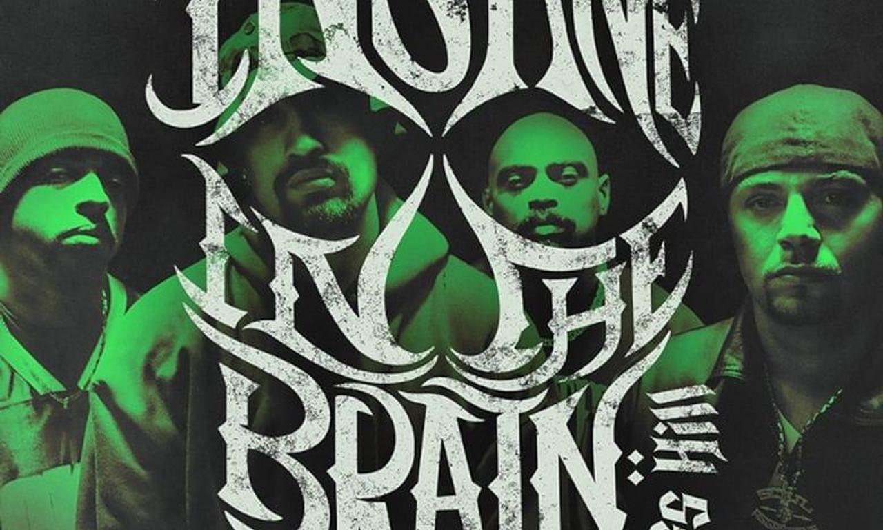 header image for Cypress Hill: Insane in the Brain