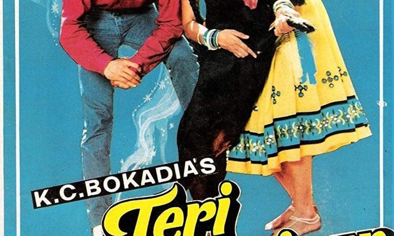 header image for Teri Meherbaniyan