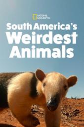 South America's Weirdest Animals
