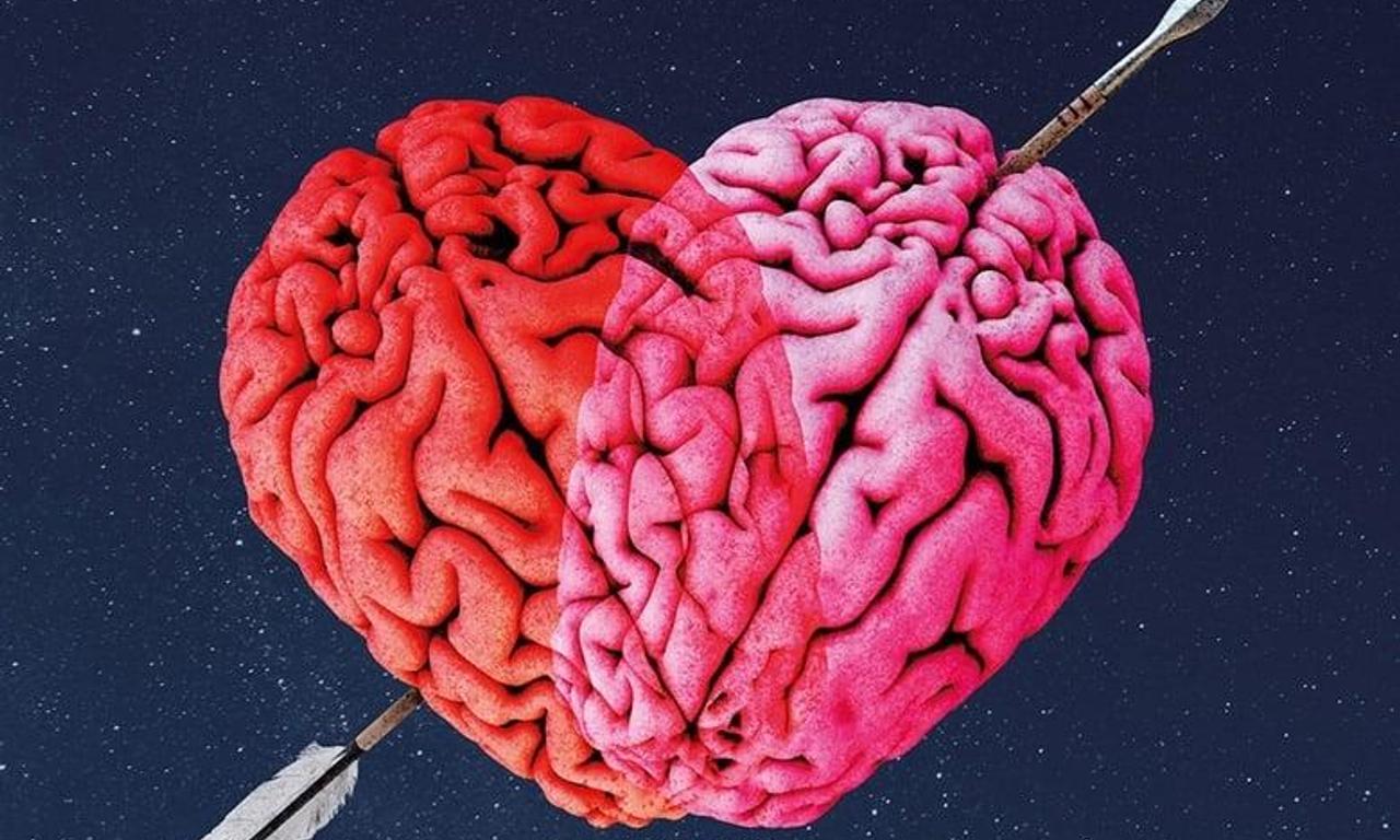 header image for Diorama