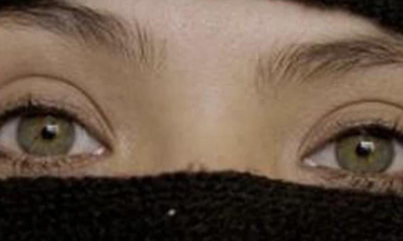 header image for My Imaginary Country